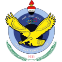 القوة الجوية